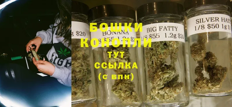 купить наркотики сайты  Ставрополь  Марихуана OG Kush 